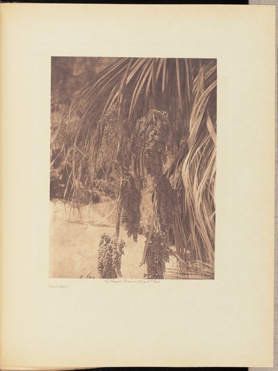  av Edward S. Curtis