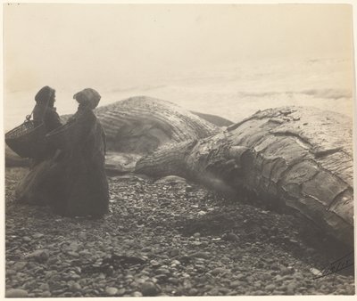  av Edward S. Curtis