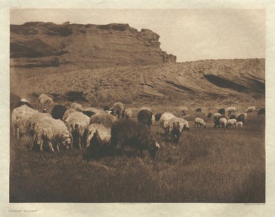  av Edward S. Curtis
