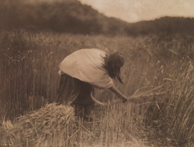 Apache-slåttekarlen av Edward S. Curtis