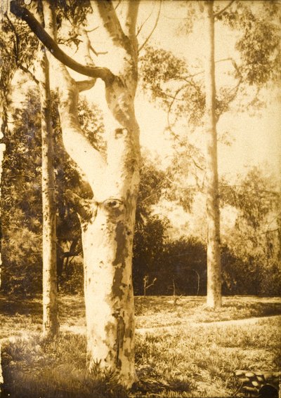 På gården, Seattle, Washington av Edward Sheriff Curtis
