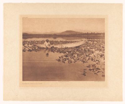  av Edward Sheriff Curtis