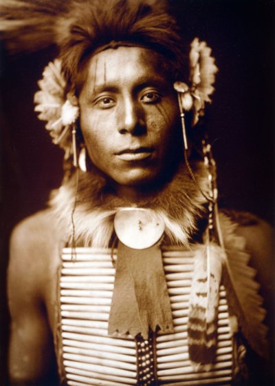 Sittende ørn, kråkemann, ca. 1905, foto Edward S. Curtis av Edward Sheriff Curtis