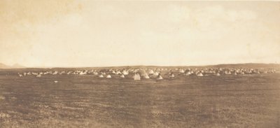Sun Dance Encampment - Piegan, 1900. av Edward Sheriff Curtis