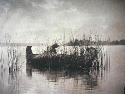 The Rush Gatherer, Montana (s/hvitt bilde) av Edward Sheriff Curtis