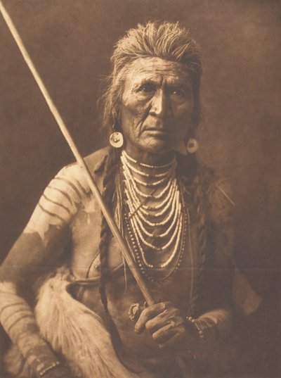 Wolf - Apsaroke, 1908. av Edward Sheriff Curtis