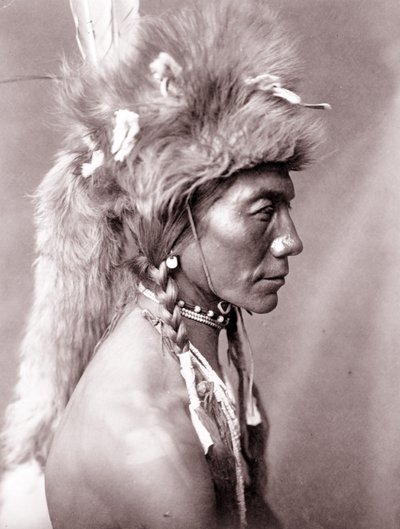 Gul nyre, Piegan av Edward Sheriff Curtis