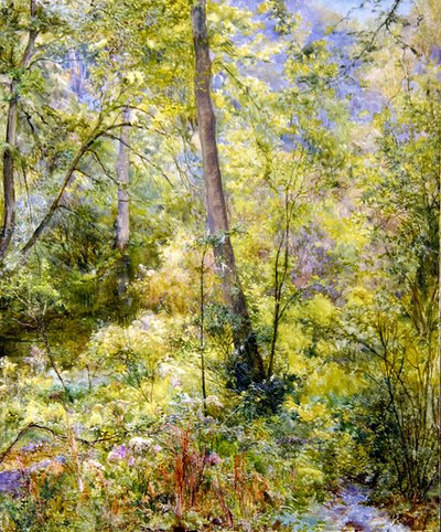 Dappled Sunlight, Sheepscombe Woods av Edward Steel Harper
