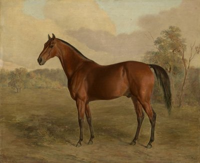 Kentucky Woodpecker, 1834 av Edward Troye
