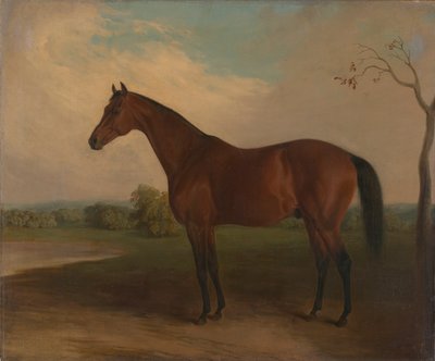 Suverene av Edward Troye