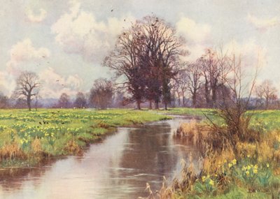  av Edward Wilkins Waite