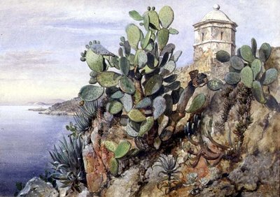 Kaktuspigg, Monaco av Edward William Cooke