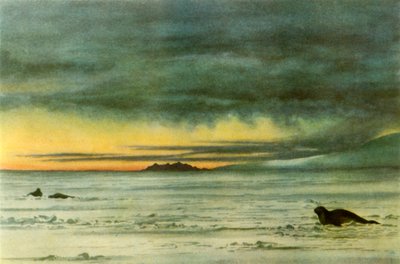 'Looking North in McMurdo Sound', 1911, 1946. av Edward Wilson