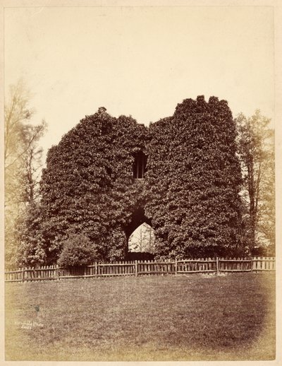 Utsikt over en dårskap i Roundhay Park (albumintrykk) av Edward Wormald