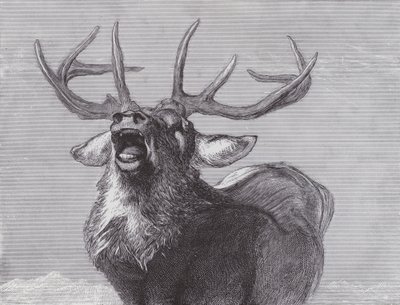 En utfordring av Edwin (after) Landseer