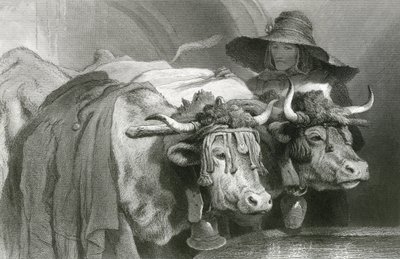 Okser ved tanken, Genève (gravering) av Edwin (after) Landseer