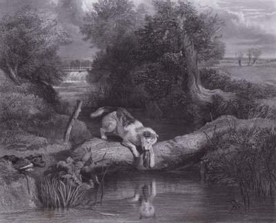 Hunden og skyggen (gravering) av Edwin (after) Landseer