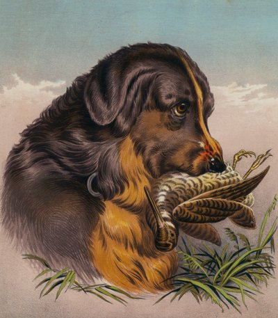  av Edwin (after) Landseer
