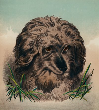  av Edwin (after) Landseer