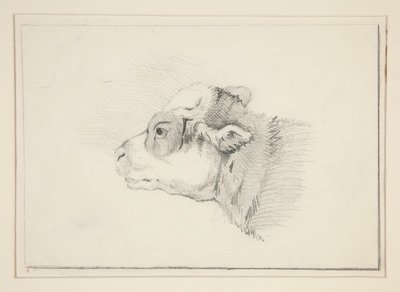 Skisse av en sau av Edwin Austin Abbey