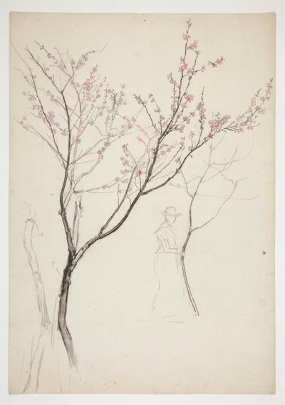 Studie av en figur under et blomstrende tre av Edwin Austin Abbey