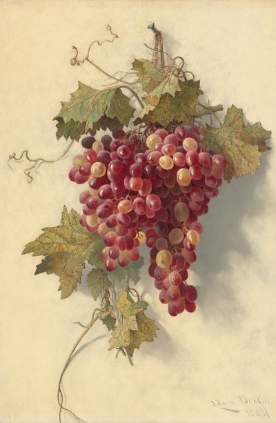 Druer mot hvit vegg, 1883. av Edwin Deakin