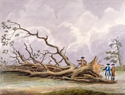Trær skadet av en storm 15. oktober, Roehampton, London, 1780 av Edwin Edwards