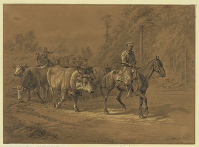 Lederen av flokken Abstrakt/medium: 1 tegning. av Edwin Forbes