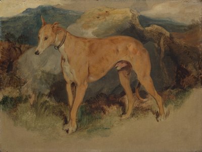 En hjortehund, 1826. av Edwin Landseer