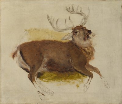 Døende hjort, ca. 1830. av Edwin Landseer