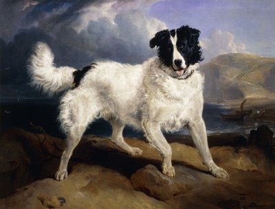 Et portrett av Neptun, 1824 av Edwin Landseer