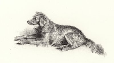 En setterhund av Edwin Landseer