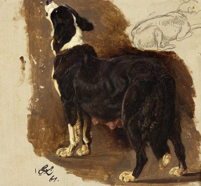 Collie tispe (olje og blyant på kort) av Edwin Landseer