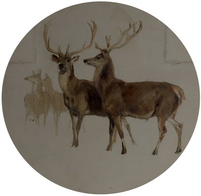 Deer in a Landscape (Studier of Deer) av Edwin Landseer