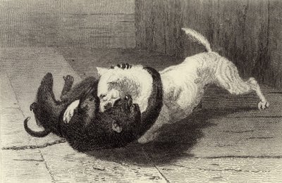 Eksempel X, hundekamp med ape av Edwin Landseer