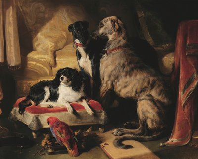 Hector, Nero og Dash med papegøyen Lory av Edwin Landseer