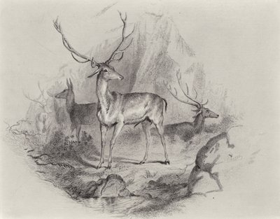 I Glen av Edwin Landseer