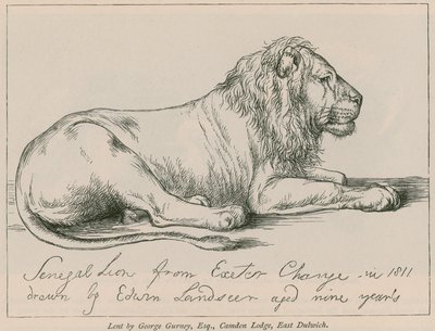 Senegal Lion fra Exeter Change av Edwin Landseer