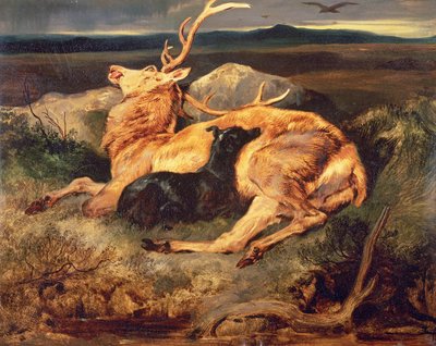 Stag av Edwin Landseer