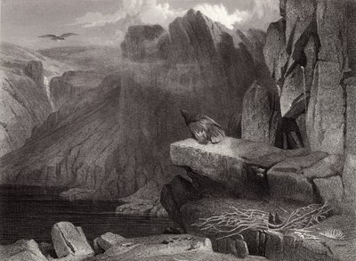 Ørneredet av Edwin Landseer