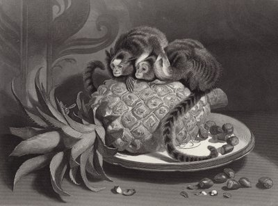 The Marmozettes av Edwin Landseer