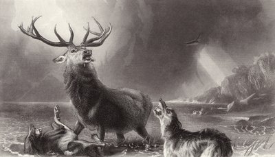 The Stag at Bay av Edwin Landseer