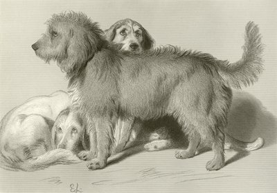 De tre hundene av Edwin Landseer