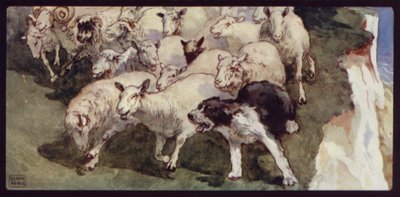 Bobtailed sauehund og flokk på klippene (farge litho) av Edwin Noble