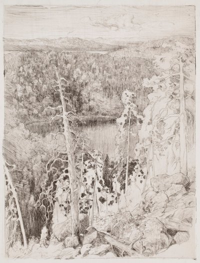  av Eero Järnefelt