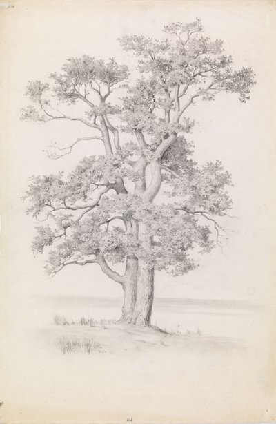  av Eero Järnefelt