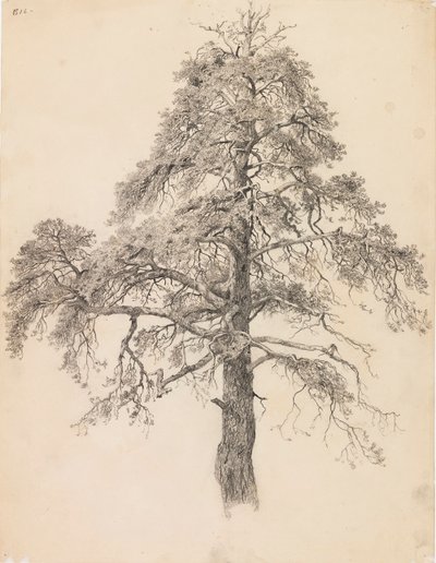 Furutopp av Eero Järnefelt