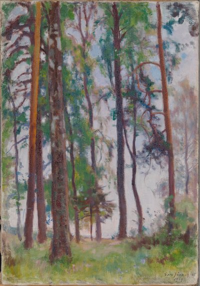  av Eero Järnefelt
