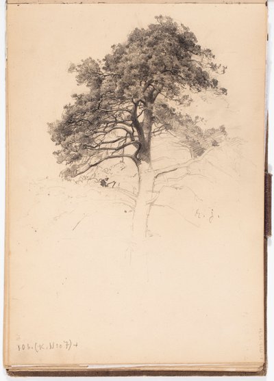  av Eero Järnefelt