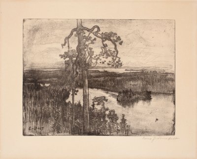 Uten tittel av Eero Järnefelt